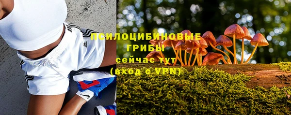 прущий лед Нефтегорск