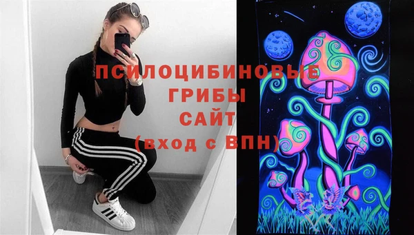 мет Новодвинск