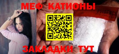 шишки Гатчина