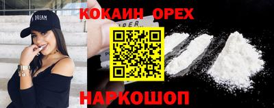 шишки Гатчина