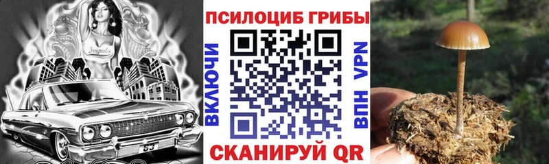 Псилоцибиновые грибы прущие грибы  закладка  Химки 
