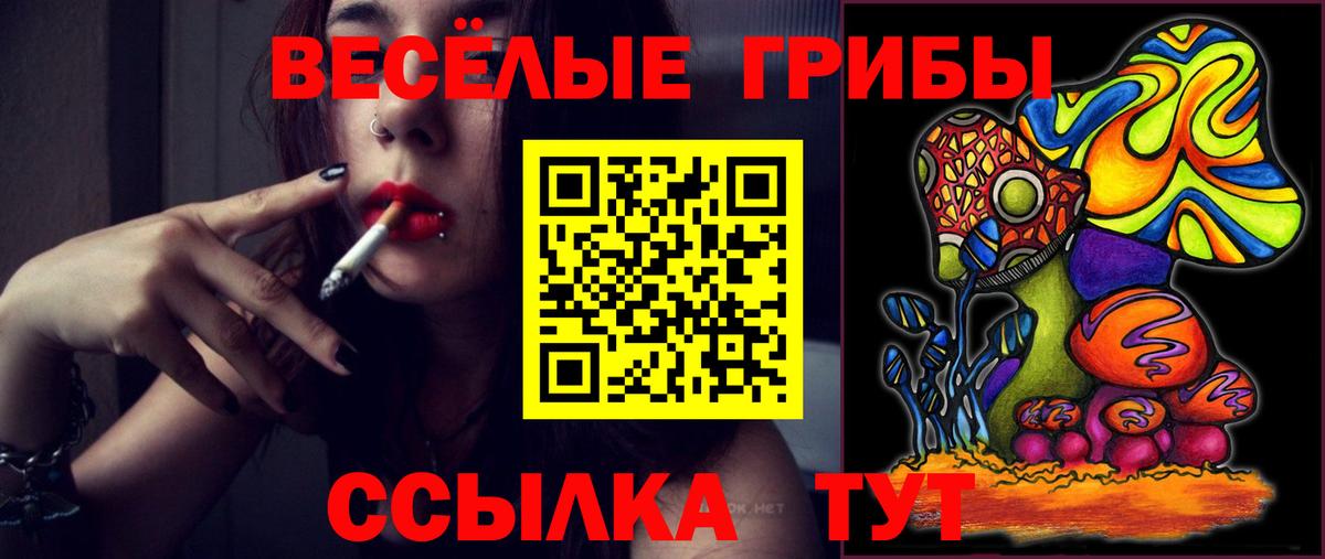 Галлюциногенные грибы GOLDEN TEACHER  Вход с VPN  Химки  Псилоцибиновые грибы GOLDEN TEACHER 